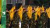 Exclusive: Iraq puts Hezbollah on banking sanctions list