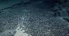 Takeaways from AP’s report on deep-sea mining
