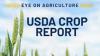 ILLINOIS CROPS BENEFIT FROM RECENT RAINFALL, USDA REPORT SHOWS