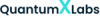 Quantum X Labs Appoints Leading Physics Engineering Expert to Advance its Quantum and Fault-Tolerant Quantum Computing Technologies