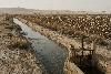 Turkmenistan Has World’s Highest Freshwater Withdrawal Per Capita