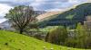 Food tariff cuts could cost Scottish farmers, warns NFUS