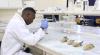 Significant Progress in Agricultural Research Programs