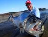 The 10 Gnarliest Freshwater Fish in the World (and How to Catch Them)