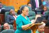LESOTHO NOT PLANNING TO IMPOSE SARS-STYLE VEHICLE REGISTRATION MEASURES 