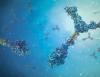 Researchers identify a distinct subtype of eosinophilic esophagitis in children