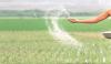 Farmers face fertilizer shortage despite government spe...