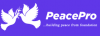 Over $200 Billion undeclared losses in Nigeria’s War Against Terrorism — PeacePro