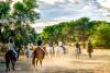 Saddling Up For a Horseback Safari Through the Namibian Bush