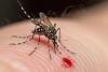 China bucks global trend, curbs dengue