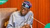Presidency mentions what Nigerians should do for Tinubu before 2027:"He has done great works"