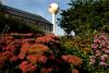 Discover summer on the University of Minnesota’s St. Paul campus