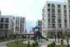 Carpet production in Azerbaijan increased 28.5 times in four months