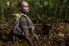 Wild animal consumption on the rise in Central Africa, study finds
