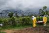 Ebola outbreak reaches major cities in DR Congo, Uganda amid fears of regional spread