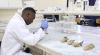 Eritrea’s Agricultural Development Over the Past 35 Years: Scientific Research and Laboratory Excellence Strengthening National Food and Nutrition Security (Part III)