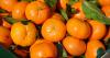 SA Citrus Growers shipping costs triple as Middle East conflict continues