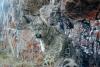 In Kyrgyzstan, a climate-ready corridor gives snow leopards and herders room to roam