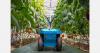 China expands AI and robotics use in greenhouse vegetable cultivation