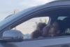 Last call to sign petition over PR for ‘road-rage’ driver