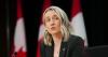 Ontario patient tests negative for Ebola, Canada's top doctor says