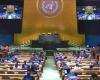 UN Backs Landmark Climate Ruling in Boost for Frontline Communities