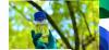 IICA: Bioeconomy in Latin America and the Caribbean – a generation seeking to transform science into rural profitability