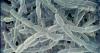 New York City now has 18 Legionnaires' cases on Upper East Side
