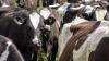 Scientists express ‘concern’ about ‘misuse of new approaches to methane’