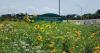 Pennsylvania Turnpike aims to be first ‘sustainable superhighway’ in U.S.