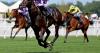 Irish hopes face major task against older stars in potentially vintage Champion Stakes