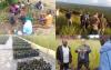 Catholic Bishop in Angola Announces 40-Year Agroforestry Initiative to Restore Forests, Transform Rural Communities