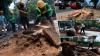 Students to SC: Stop tree cutting in Manila