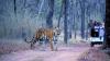 India ranks 172 of 180 nations in Nature Conservat...
