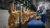 Egypt poultry farmers oppose frozen chicken imports amid fears over local industry losses