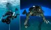 Maldives divers mystery WILL be solved when police release their final report, say rescue specialists who found their bodies in 200ft deep cave