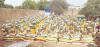 Qatar Charity sends emergency food aid to Chad