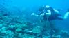 I dived in waters near Maldives ‘shark cave’ & know why tragic divers wouldn’t dare enter – so what REALLY happened?
