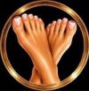 TOESCOIN Announces Engagement with Crypto-Focused Investment Firm
