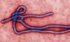 Ebola test in Scotland comes back negative