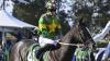 Big weight drop to boost Bustling’s Bel Esprit bid