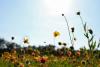 Weather & Traffic: Saturday 11 July: Hot stuff