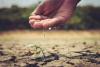 SA’s water crisis: A permanent threat to farming and economy