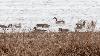 Rice Lake National Wildlife Refuge celebrates 90th anniversary