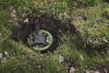 Bangladeshi man's leg severed in landmine blast on Naikhongchhari border