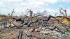 Sri Lanka’s Two-Faced Policy Climate Justice at the UN, Deforestation at Home