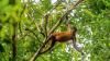 What it’s like to spend a night in a Costa Rican jungle