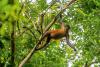 How to stay in a Costa Rican jungle overnight—and live to tell the tale