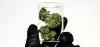 Arizona Dispensary Chain to Stop Accepting Products Tested by Two Labs Cited for Inaccurate Testing Results