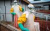 NOA urges vigilance against Ebola threat